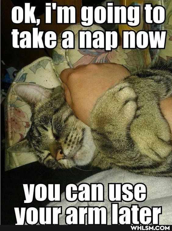 ok, I'm going to take a nap now
you can use
Wor ofim latar .