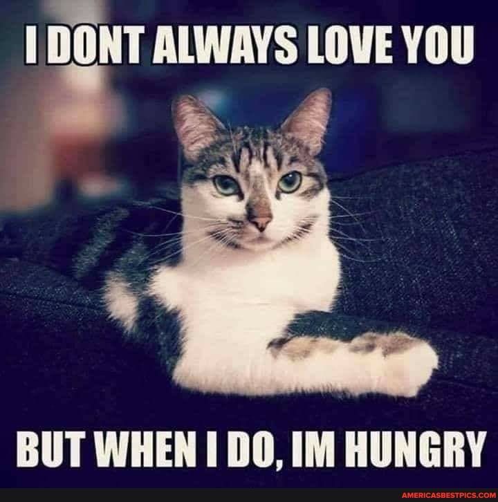 ONT ALWAYS LOWE YOU
s :
OP
BUT WHEN I DO, IM HUNGRY