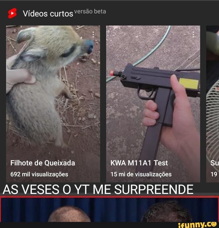 Vídeos curtos
Filhote de Queixada KWA MTTAT Test Su
692 mil visualizações 15 mi de visualizações 18
AS VESES O YT ME SURPREENDE