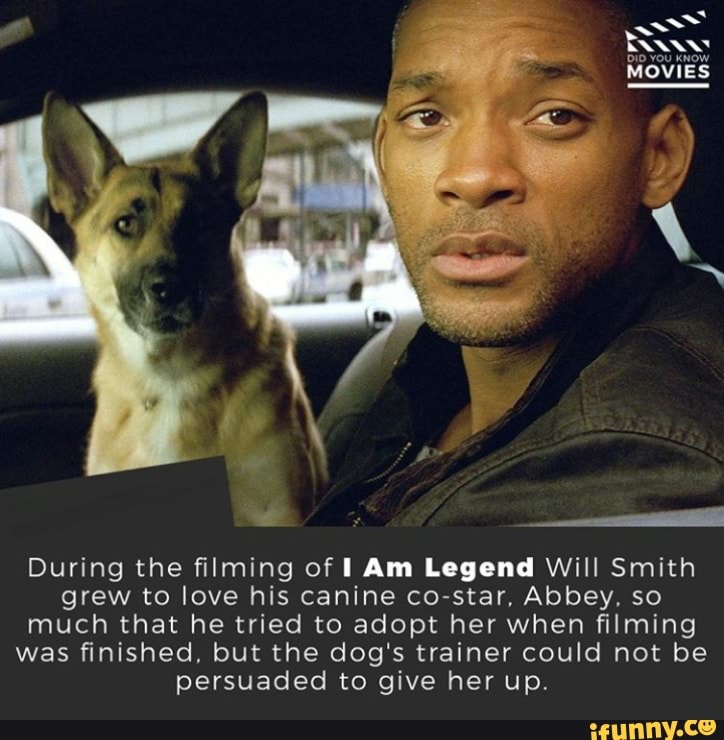 During the ﬁlming of I Am Legend Will Smith grew