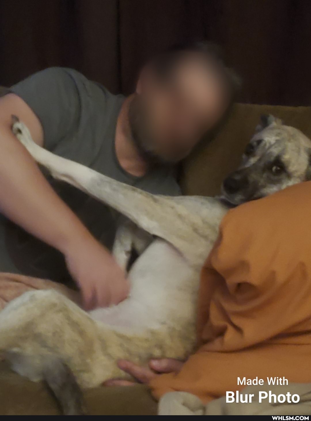 Made With
Blur Photo