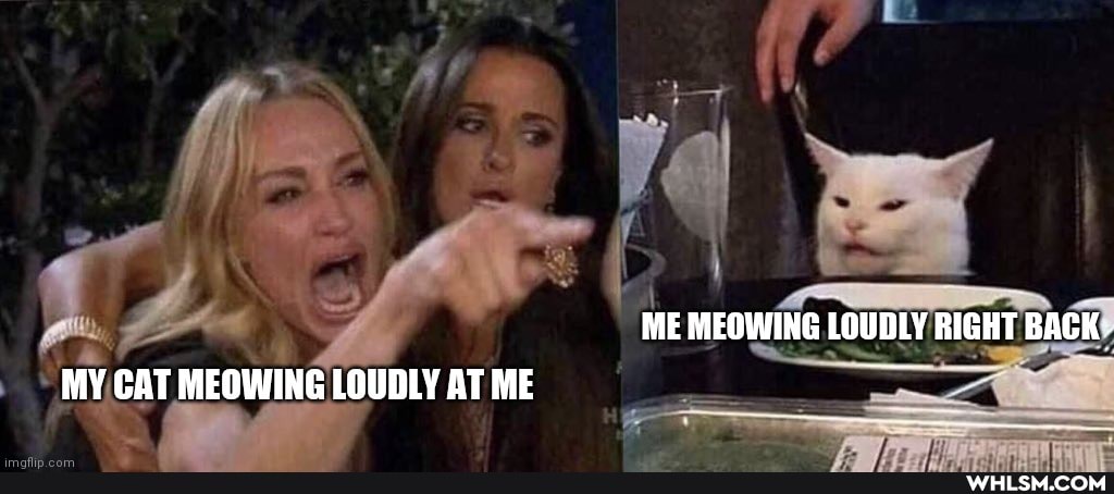 ME MEOWING LOUDLY RIGHT BAGK.
MY CAT MEOWING LOUDLY AT ME