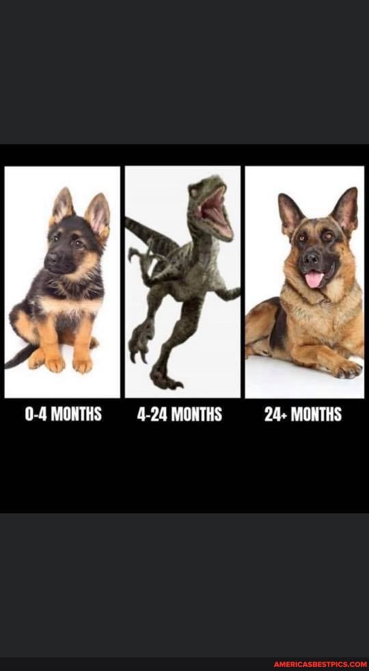 0-4 MONTHS -4-24 MONTHS 24+ MONTHS
