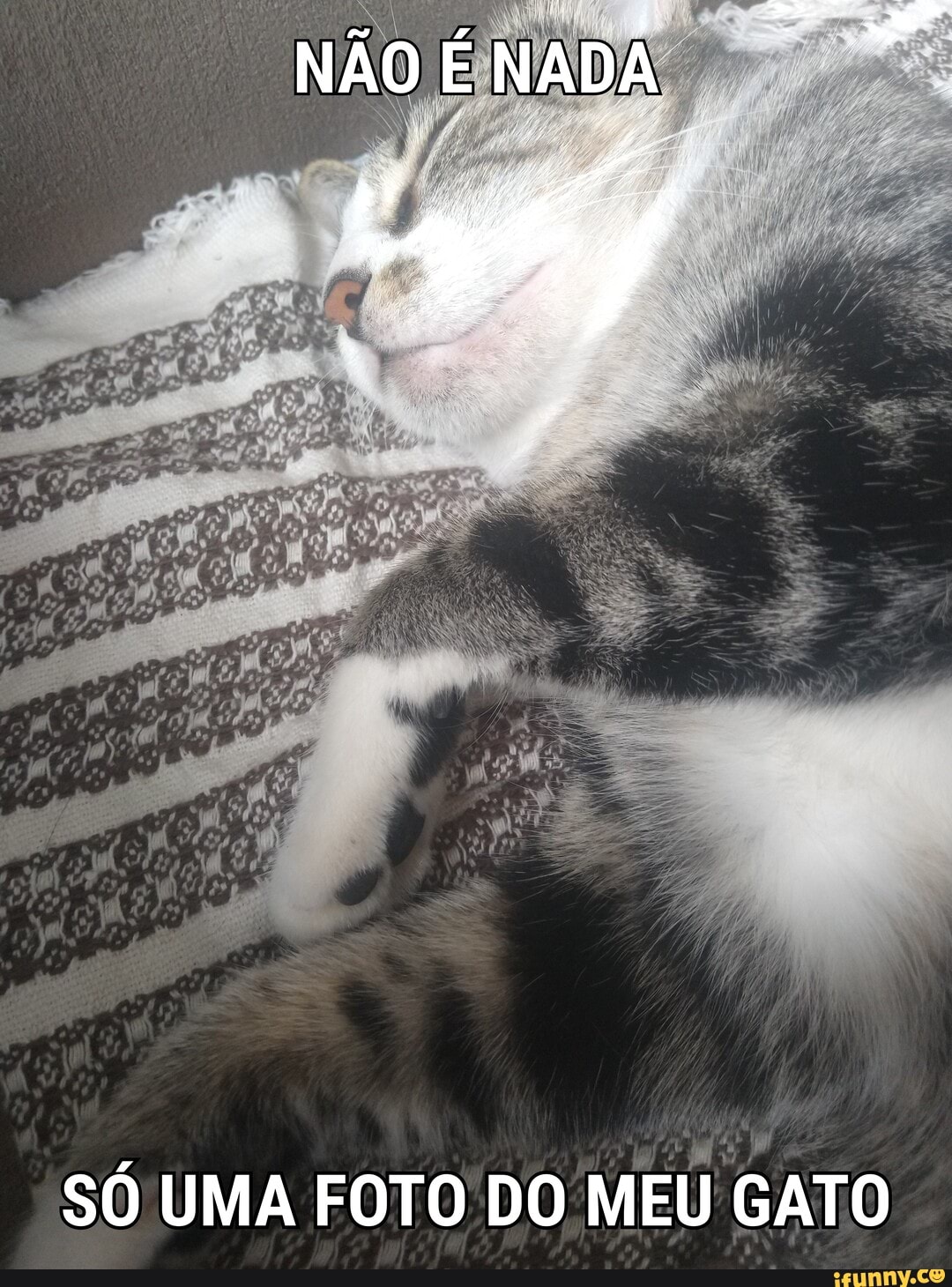 NÃO É NADA
SÓ UMA FOTO DO MEU GATO