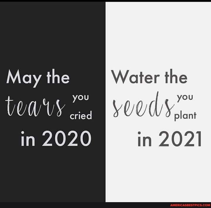 May the Water the you you
tewy in 2020 in 2021
you