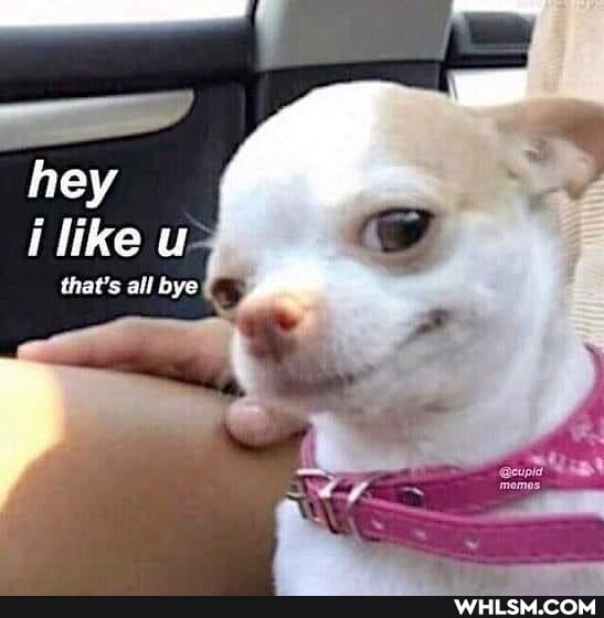 hey like
that's all bye
AR