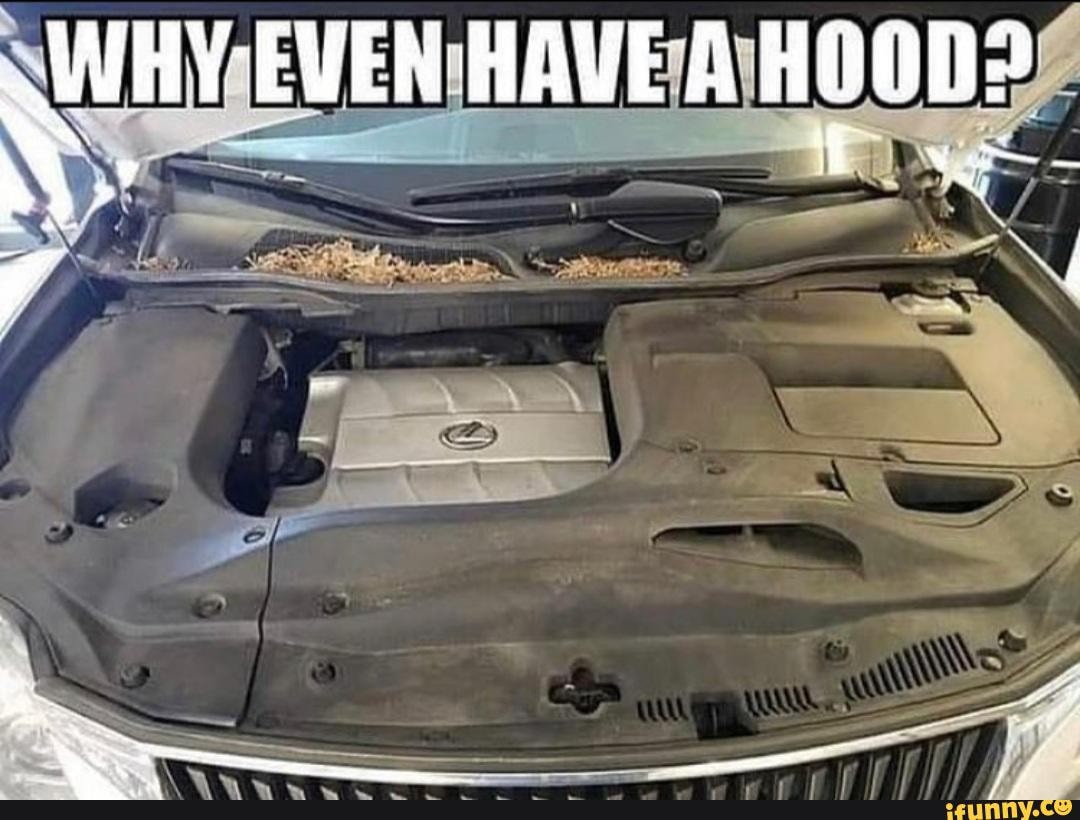 Published humorous 5 minute book reports picture