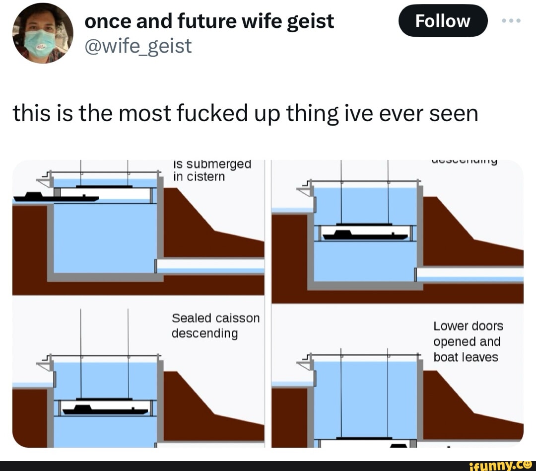 Nat Retweeted len Maybe Marley not so bad after all - iFunny