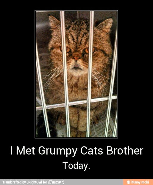 I Met Grumpy Cats Brother
Today. - I Met Grumpy Cats Brother
Today.