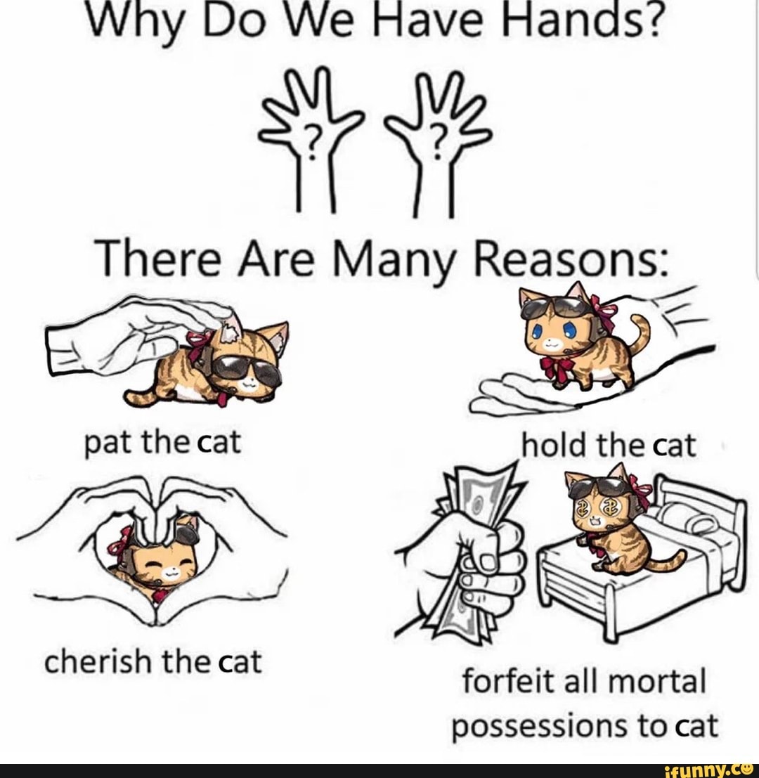 Have hands. Why do we have hands meme. Мем why do we have a hands. Why do we have hands? There are many reasons: Pat the hold the cherish the forfeit all Mortal possessions to. Why do we have hands there are msny readins meme.