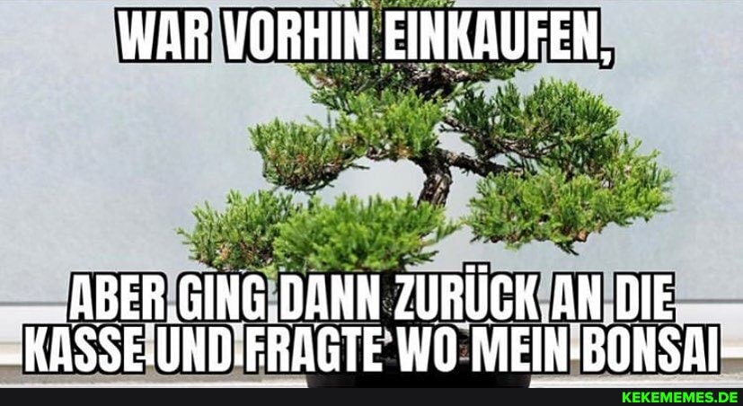 WAR VORHIN EINKAUFEN,
ABER.GING DANN ZURÜCK AN DIE
_KASSEJIND.ERAGTE MEIN-BONSAI-