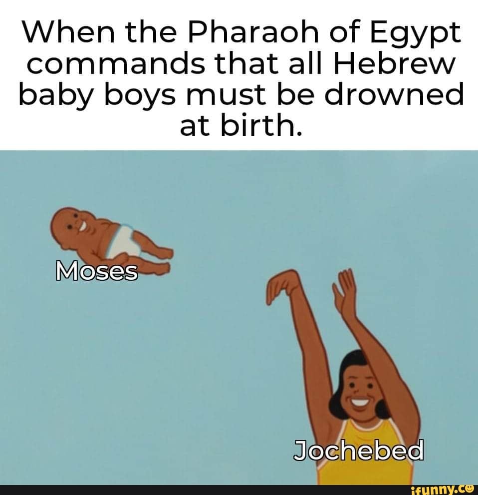 When the Pharaoh of Egypt commands that all Hebrew baby boys must be ...