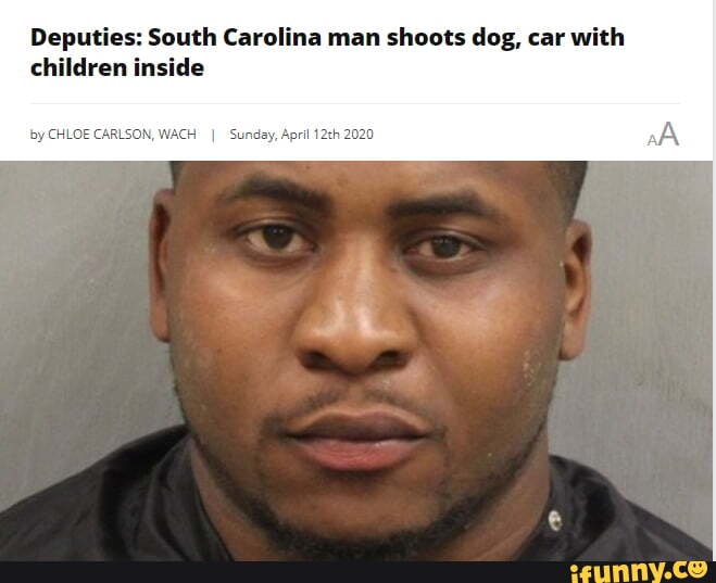 Deputies: South Carolina man shoots dog, car with children