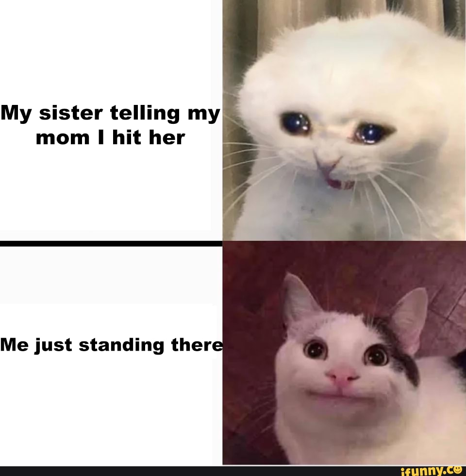 My sister telling my mom I hit her Me just standing ther - iFunny