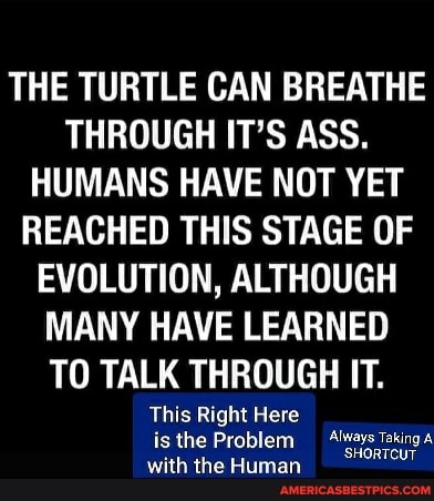 THE TURTLE CAN BREATHE THROUGH IT'S ASS.
HUMANS HAVE NOT YET REACHED THIS STAGE OF EVOLUTION, ALTHOUGH MANY HAVE LEARNED TO TALK THROUGH IT.
This Right Here is the Problem /ays1 with the Human