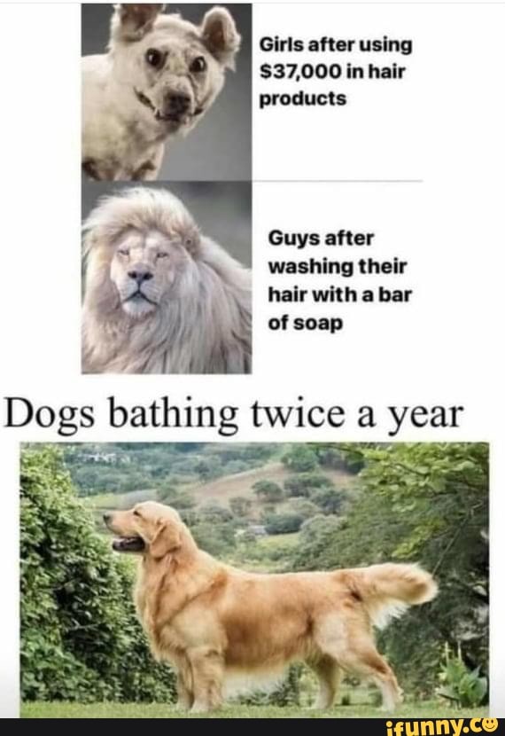 is a bar of soap bad for dogs