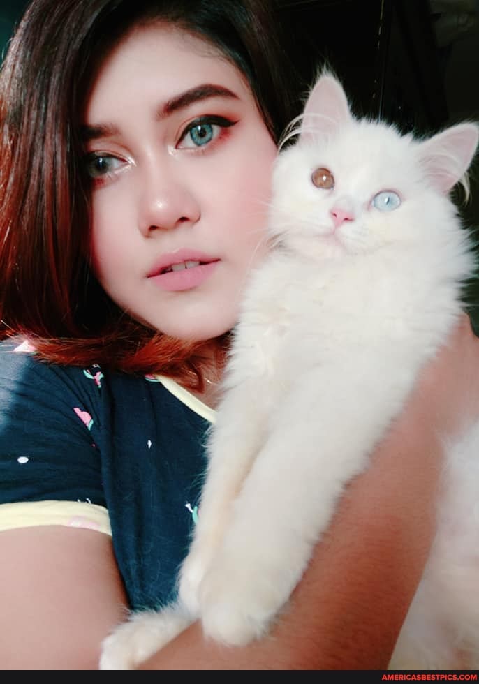 cat, whisperer, people, houses, cats, like, bet
