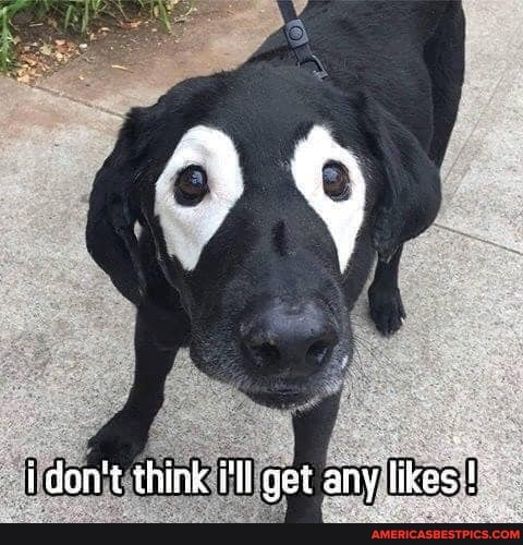 don't think i'll get any likes
