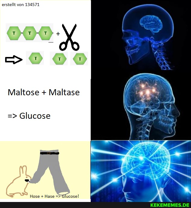 erstellt von 134571
SOOO
Maltose + Maltese
Glucose