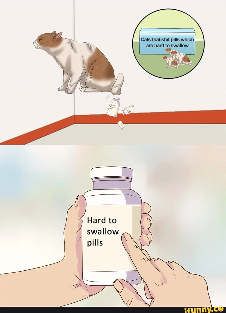 cats-that-shit-pills-which-are-hard-to-swallow-swallow-pills-ifunny