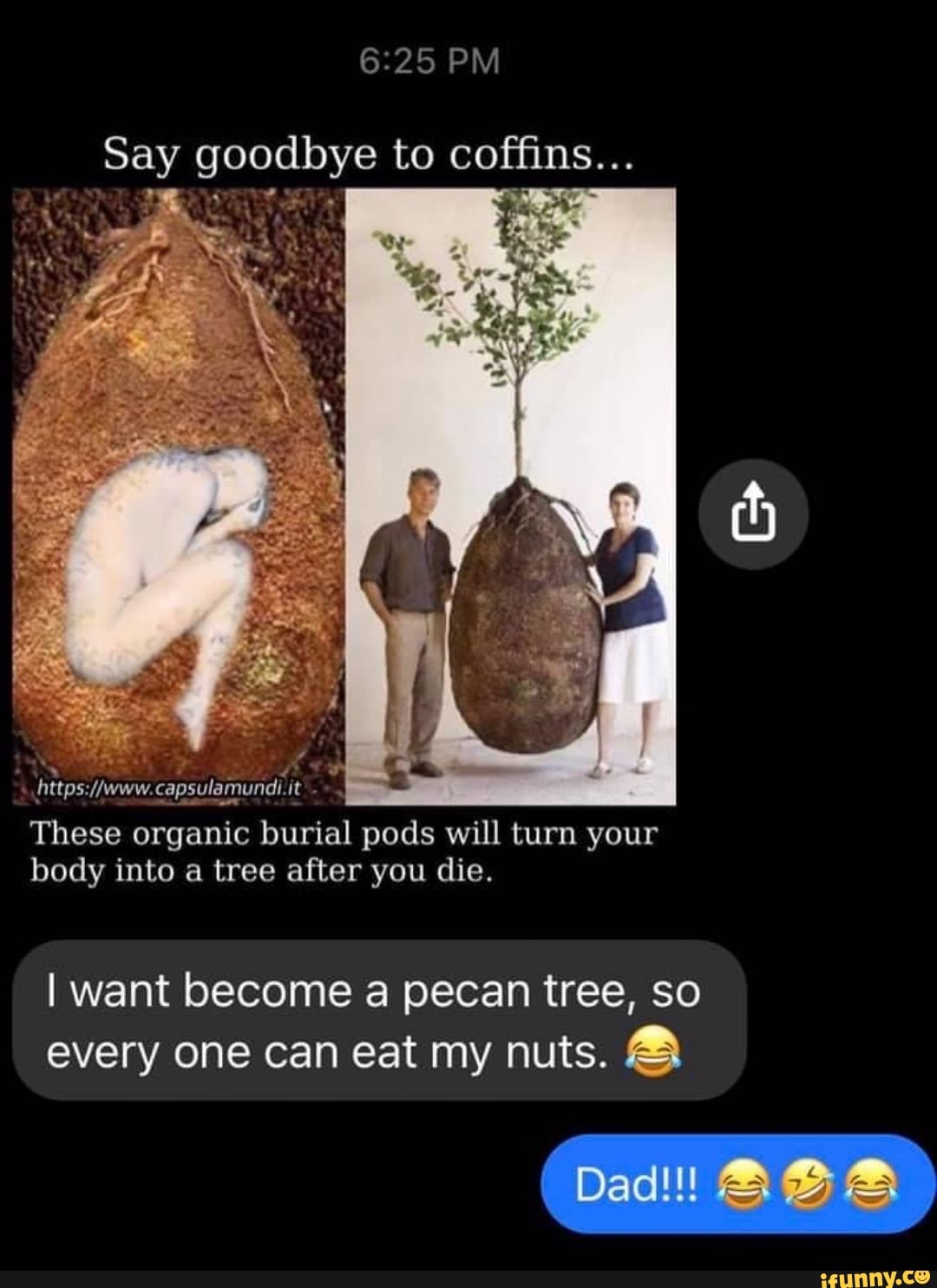 PM Say goodbye to coffins... These organic burial pods will turn your