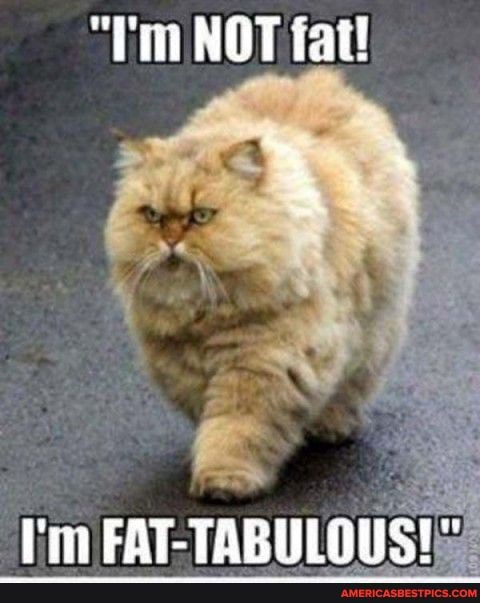 "Tin NOT fat!
I'm FAT-TABLILOUS