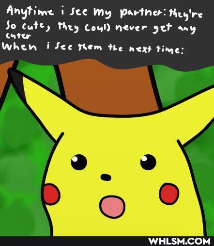 Anytime i See my Partner: they're
Jo cute, they Coul) never get any cater
When i See them the next time: