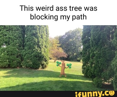 Path Memes. Best Collection Of Funny Path Pictures On Ifunny