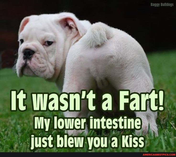 wasn't a Fa t
My lower, Kiss ay just blew: you! a Kiss