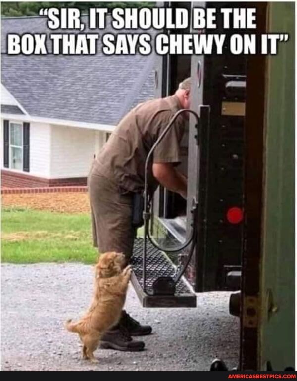 "SIB. IT SHOULD BE THE BOX THAT SAYS CHEWY ON IT"