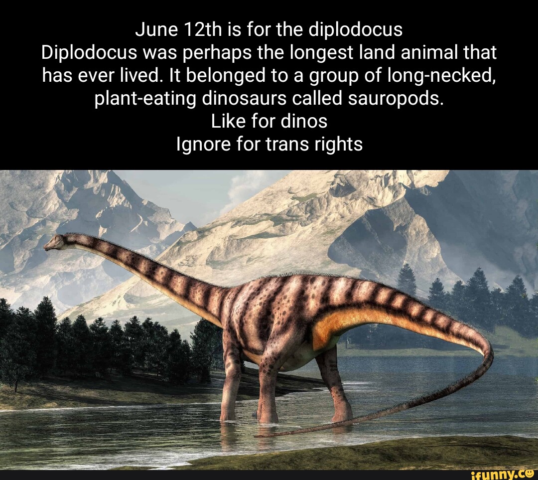 Diplodocus memes. Best Collection of funny Diplodocus pictures on iFunny