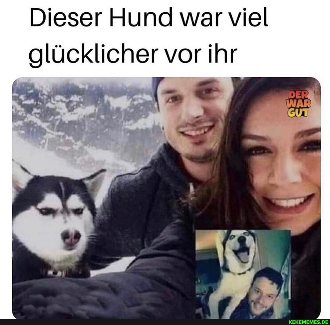 Dieser Hund war viel glücklicher vor ihr
