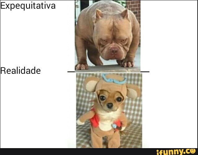 Expequitativa
Realidade