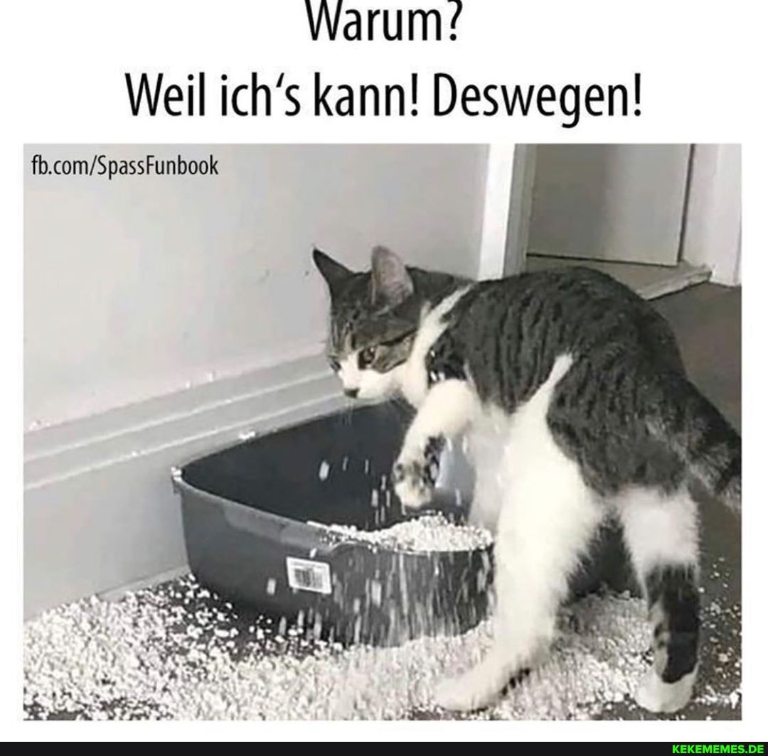 Warum!
Weil ich's kann! Deswegen!