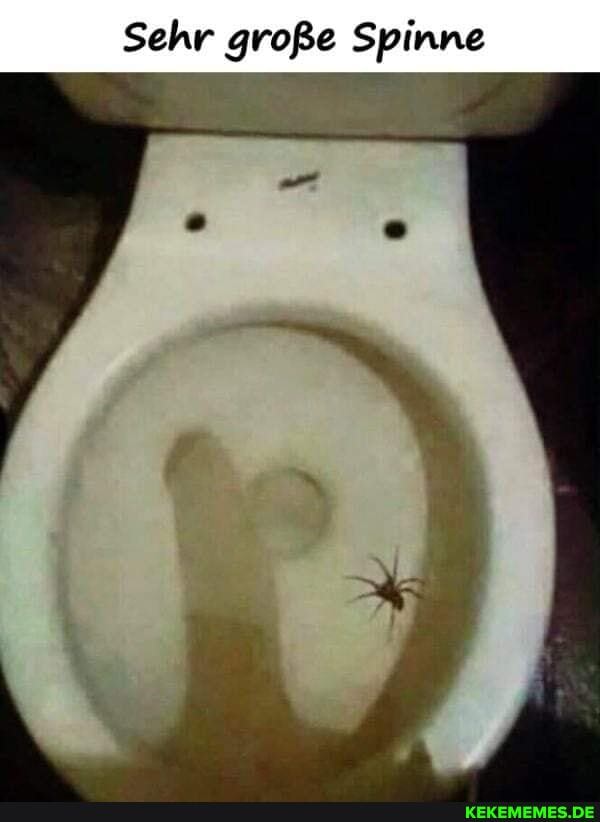 Sehr große Spinne