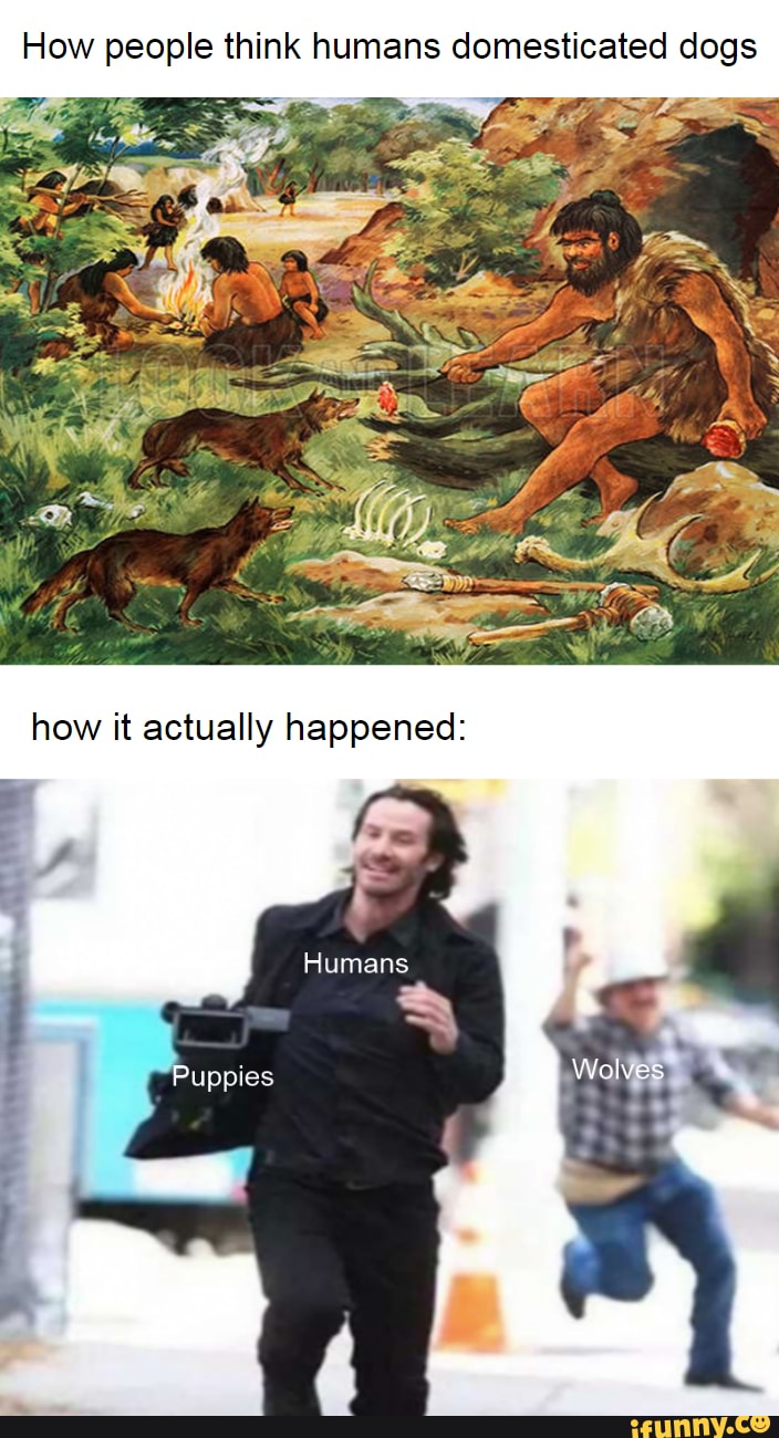 How people think humans domesticated dogs
how it actually happened:
Humans
Welves
Puppies