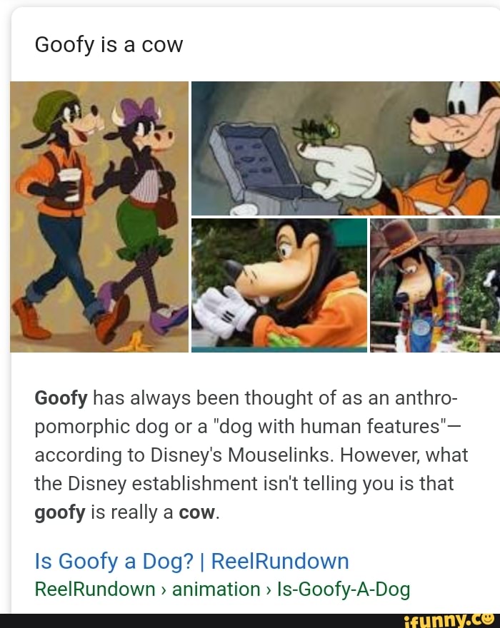Is Goofy A Dog Or A Cow According To Disney - petfinder