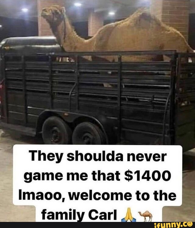 They shoulda never game me that 1400 I Imaoo, to the family