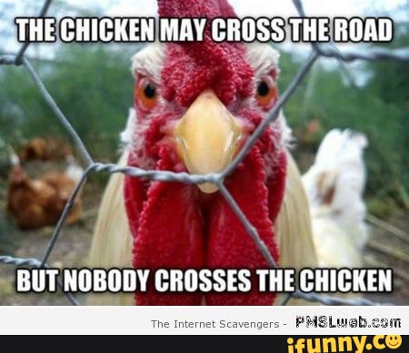 Funnymeme Funny Memes Meme Funnymemes The Chicken May Cross The Road But Nobody Crosses The Chicken