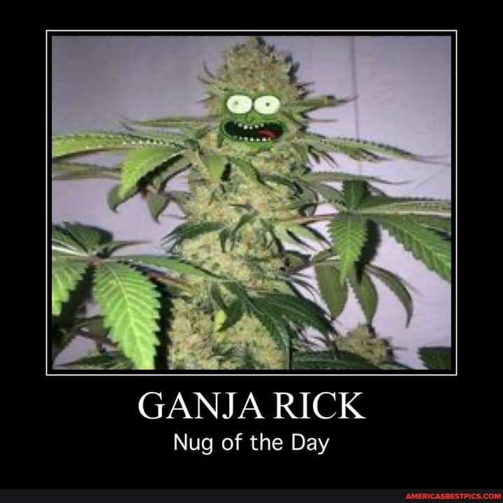 GANJA RICK
Nug of the Day