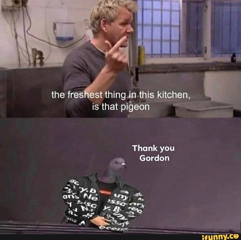 the freshest thing this: kitchen, is that pigeon
Thank you
Gordon
We