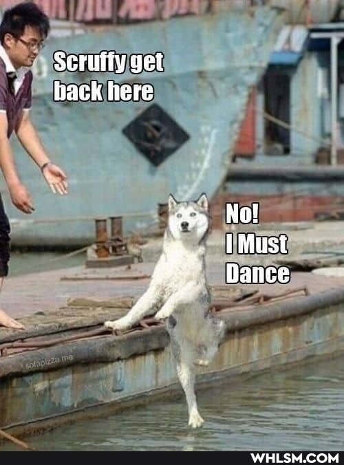 Serutiy get hack here
No!
Dance