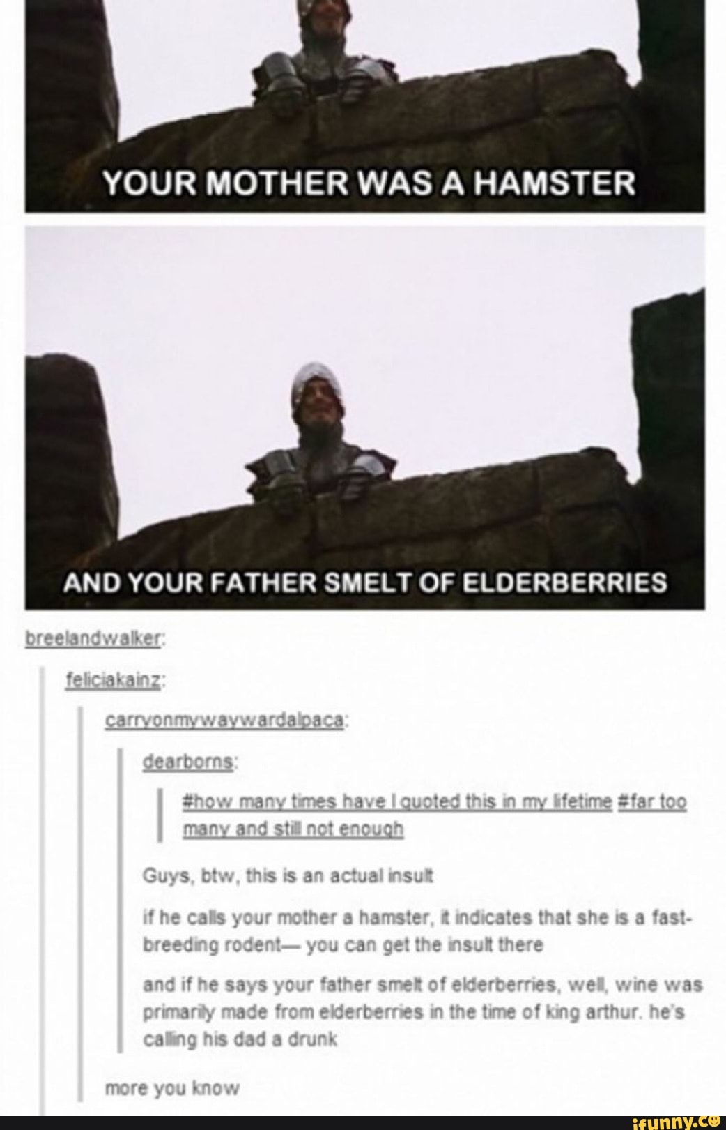 YOUR MOTHER WAS A HAMSTER