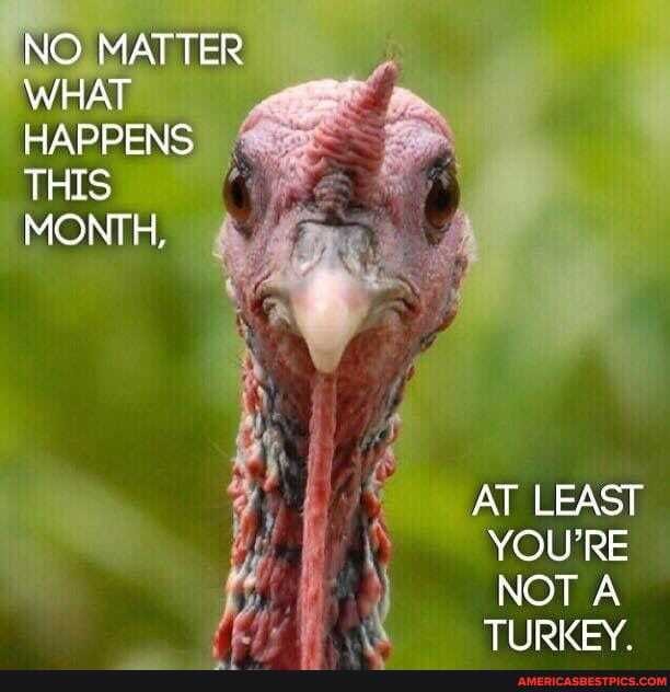 NO MATTER WHAT HAPPENS THIS MONTH,
AT LEAST YOU'RE NOT A TLIRIC FY