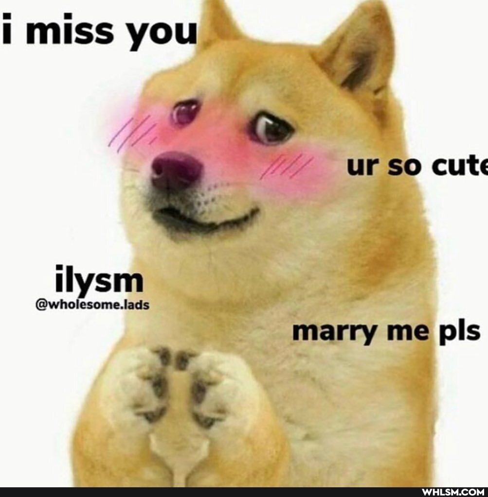 miss you
ur so cute
marry me pls