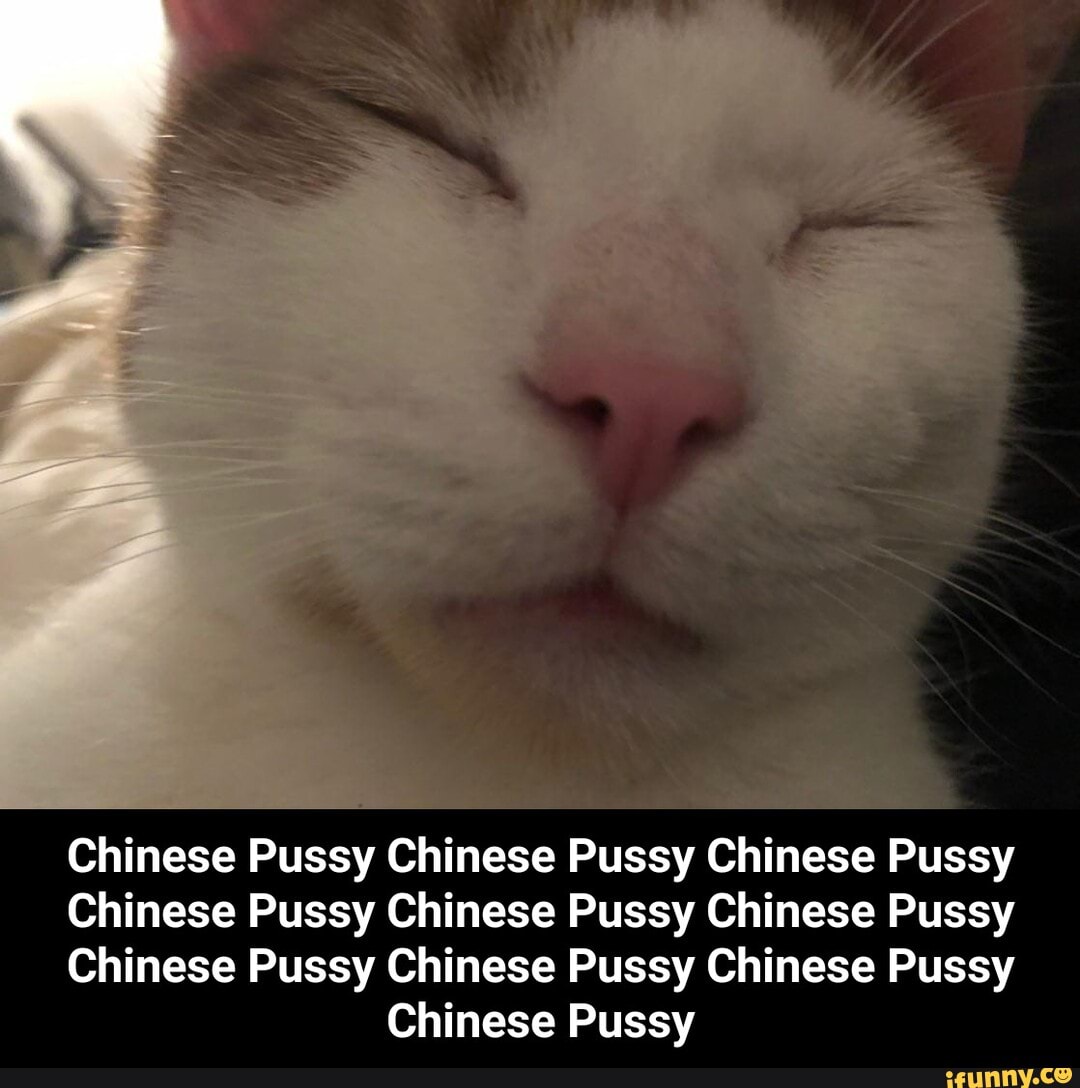 chinese-pussy-chinese-pussy-chinese-pussy-chinese-pussy-chinese-pussy