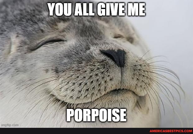 YOU ALL GIVE ME
PORPOISE