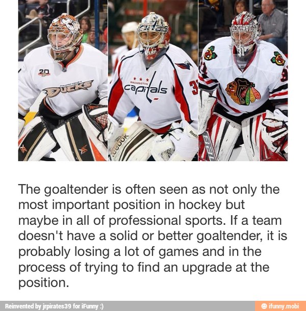 The goaltender is often seen as not only the
most important position in hockey but
maybe in all of professional sports. If a team
doesn't have a solid or better goaltender, it is
probably losing a lot of games and in the
process of trying to find an upgrade at the
position.