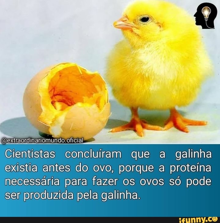 Cientistas concluíram que a galinha existia antes do ovo, porque a proteína necessária para fazer os ovos só pode ser produzida pela galinha.