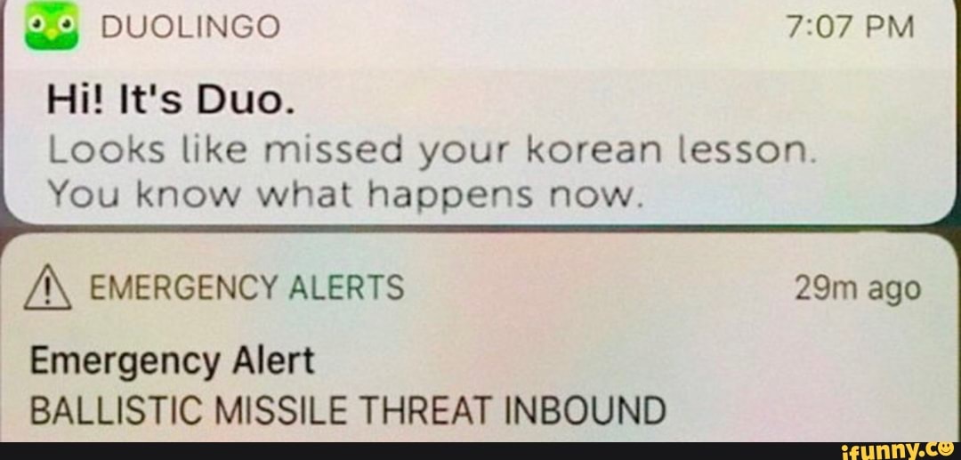 U Hi! It's Duo. Looks like missed your korean lesson, You know what